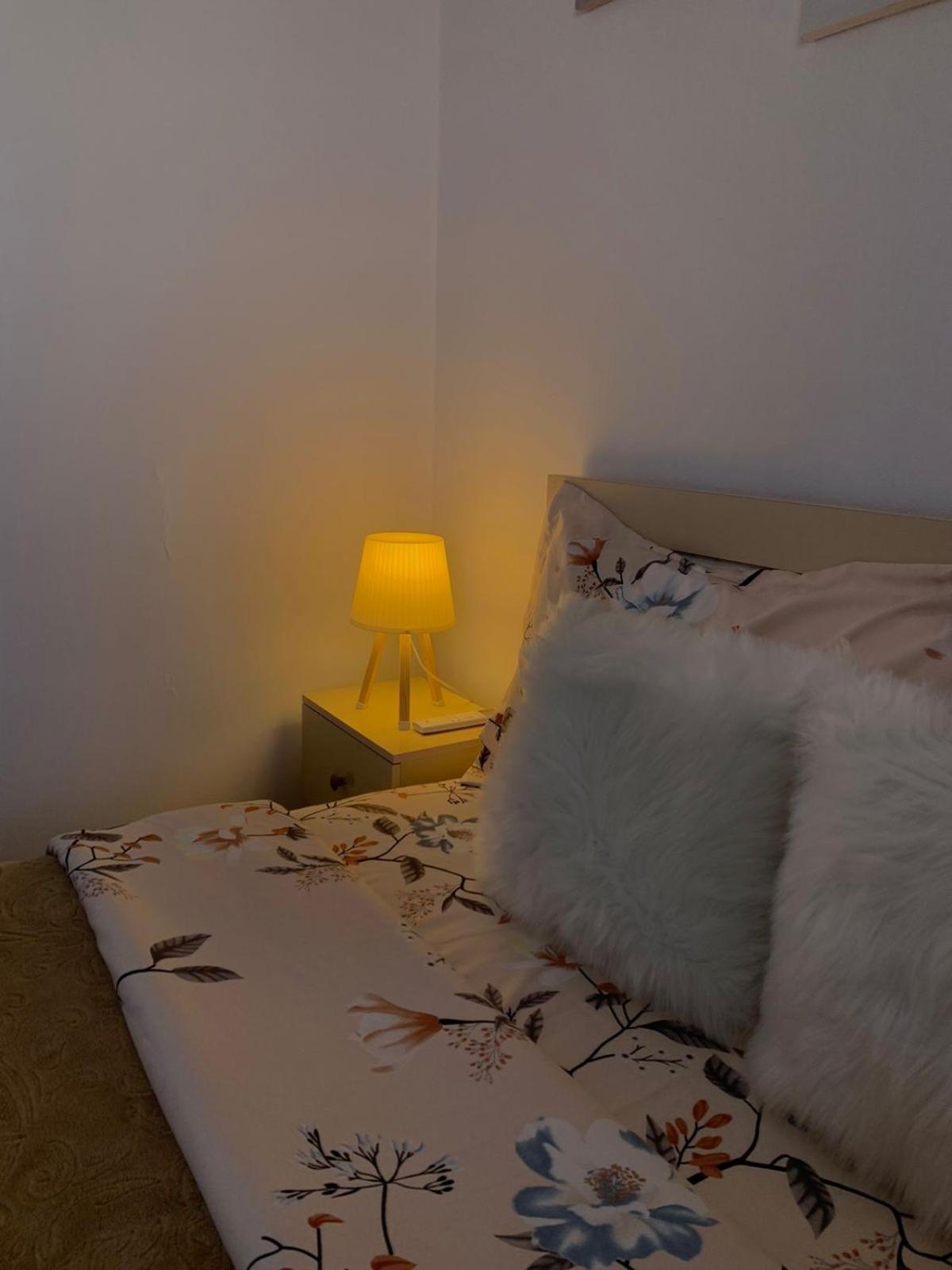 Ridi'S Comfort Apartment 2 Shkodër Екстериор снимка